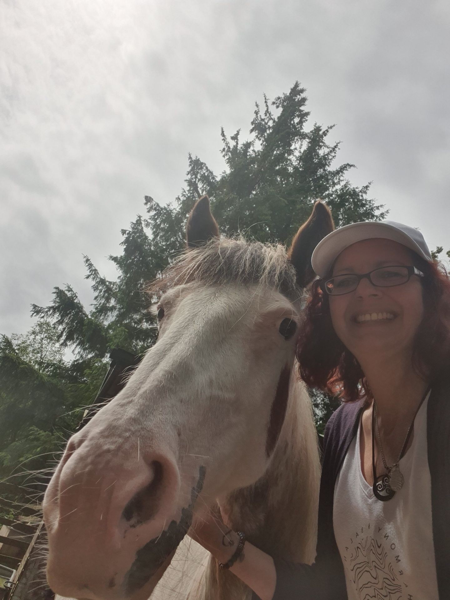 Lainey Mustang Pony tribe Lainey Mustang Pony tribe