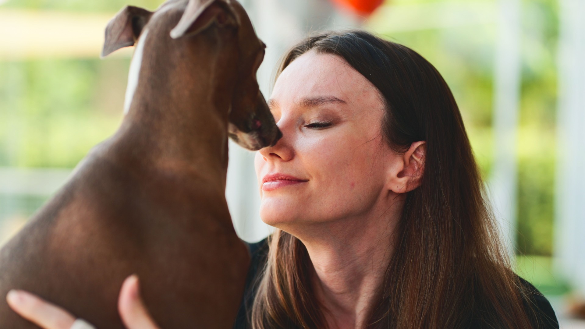 Woman hugging her beloved dog. Animal communication concept. Woman hugging her beloved dog. Animal communication concept.